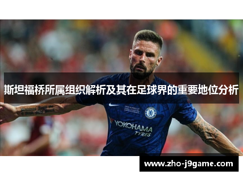 斯坦福桥所属组织解析及其在足球界的重要地位分析 斯坦福桥所属组织解析及其在足球界的重要地位分析